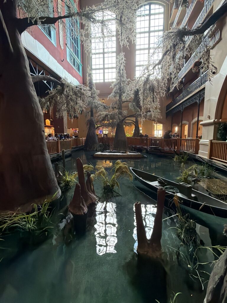 Paragon Casino Resort: More Than I Expected 3 Live alligators are right in the lobby atrium. Not something you walk past without stopping