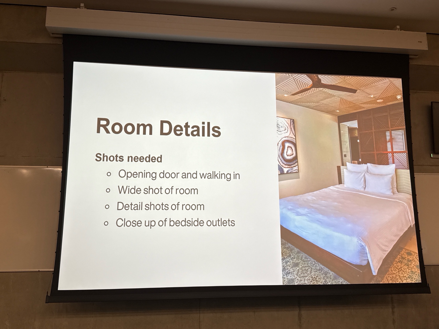 word image 5948 10 1 tbex donegal 2025