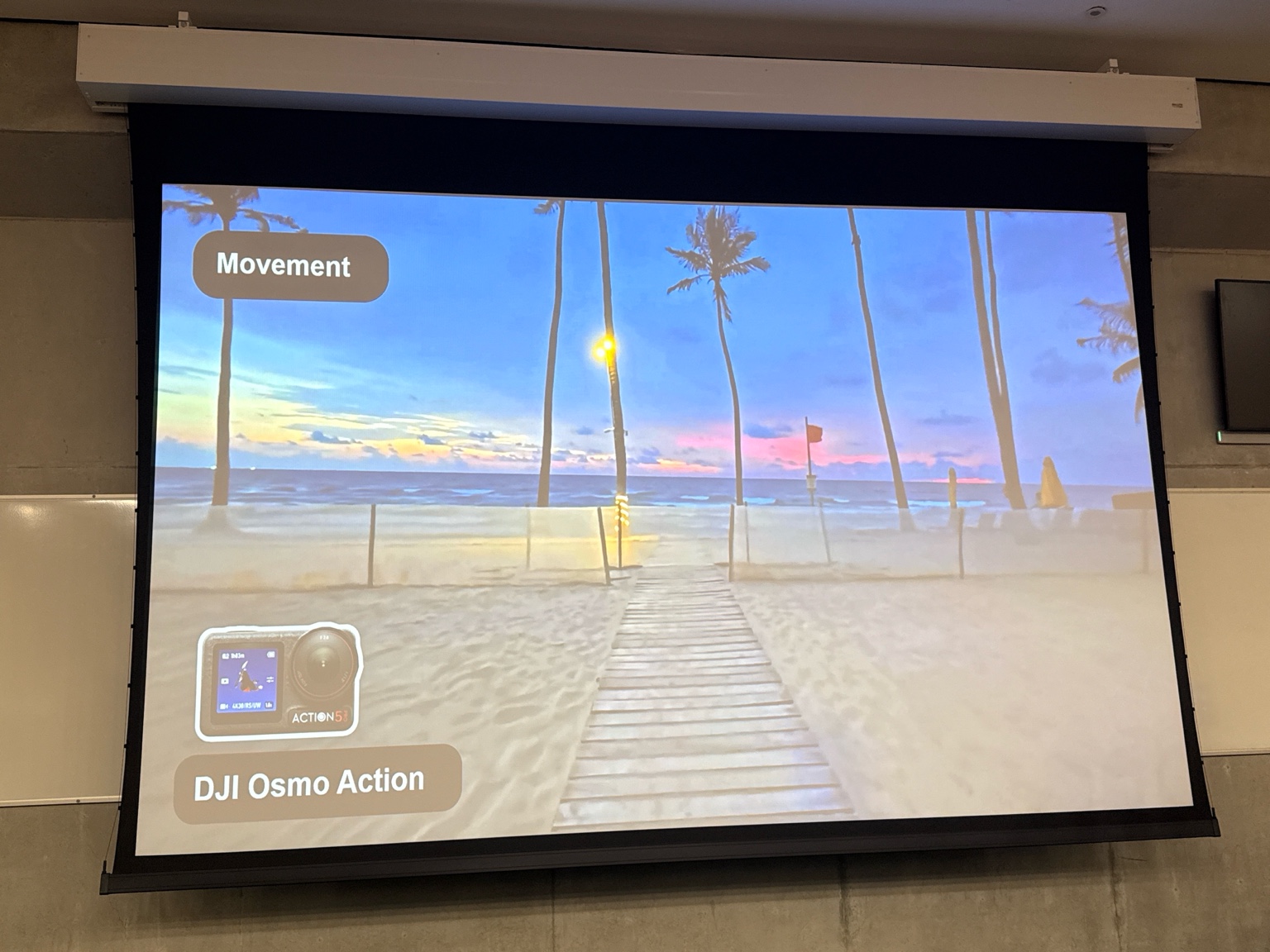 word image 5948 3 1 tbex donegal 2025